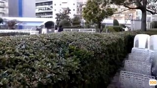 欧美日韩在线有码视频🈲️久久狠狠亚洲综合色成人免费网站